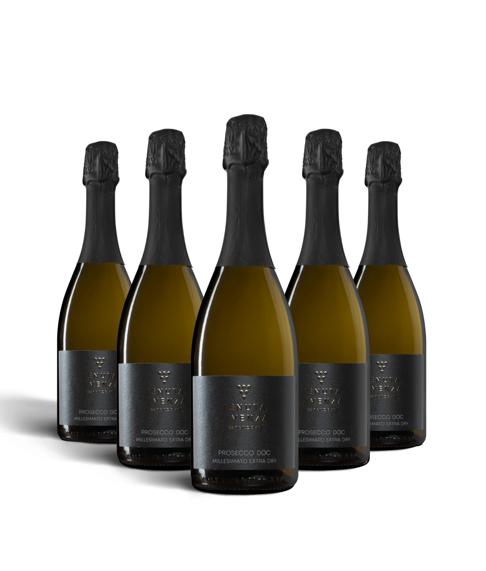 PROSECCO SPUMANTE  DOC TREVISO MILLESIMATO BRUT 2023 - 6 BOTTIGLIE bergamovini