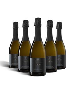 PROSECCO SPUMANTE  DOC TREVISO MILLESIMATO BRUT 2023 - 6 BOTTIGLIE bergamovini